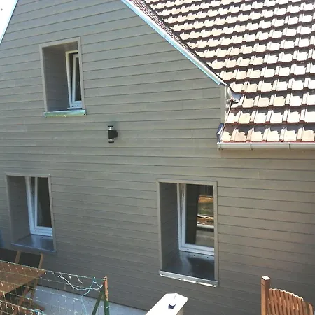 Le Chant Des Grenouilles Boismont (Somme)