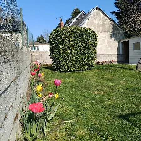 Le Chant Des Grenouilles * Boismont (Somme)