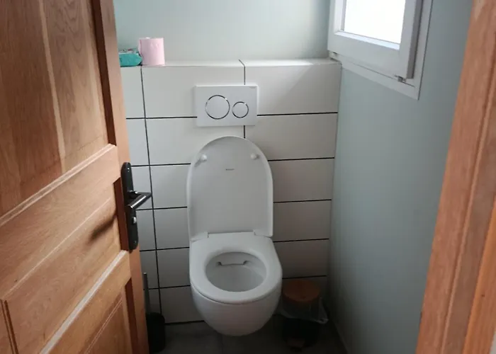 Le Chant Des Grenouilles Boismont (Somme)