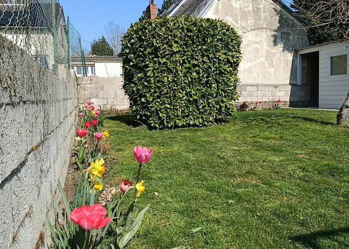 Le Chant Des Grenouilles * Boismont (Somme)